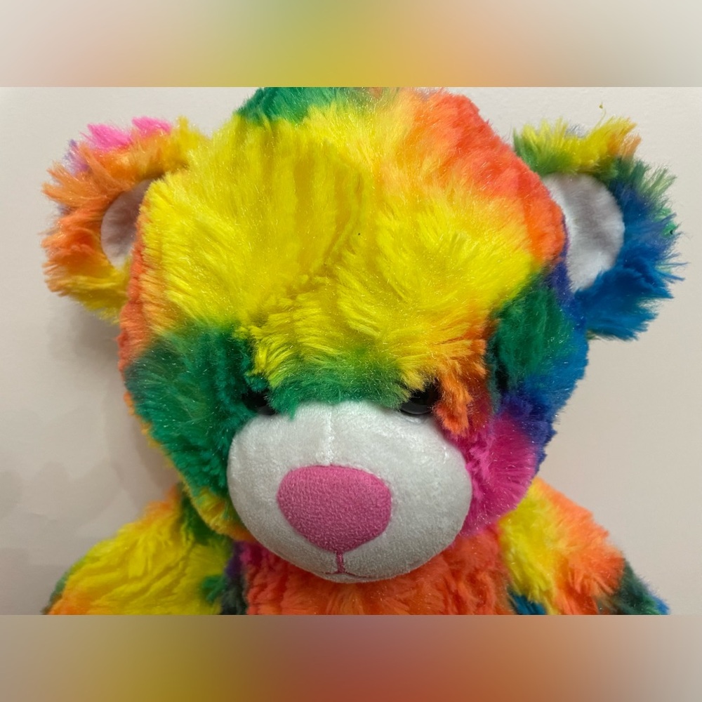 Build A Bear Rainbow fuzzy Teddy Bear Plush, 2013